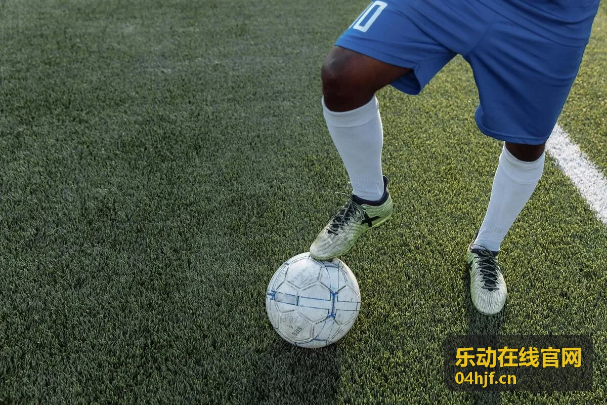 乐动在线官网运动课程与健康管理平台界面
